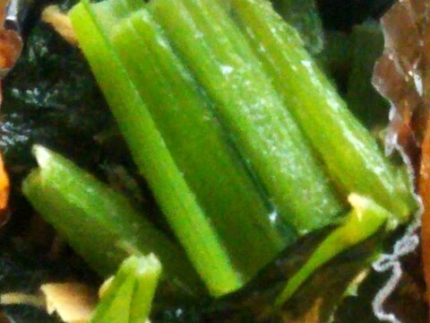 作り置き★小松菜とツナの炒め物